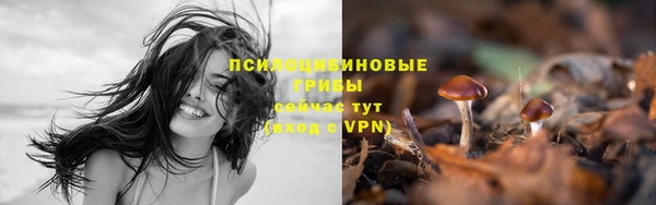 гашик Балабаново