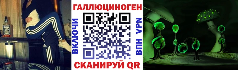 наркошоп  Ладушкин  Псилоцибиновые грибы Psilocybine cubensis 